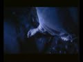NeuRoSiS The Tide