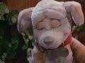 Sooper Puppy: Drink Drank Drunk (clip)