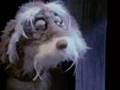 Sooper Puppy: Drink Drank Drunk (clip)