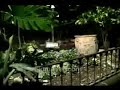Italy travel: Amalfi Coast Sorrento dinner