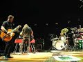 Foo Fighters Marigold Dallas Foo Fighters Marigold Dallas