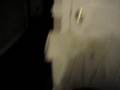 Kyle Falling