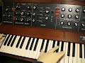 minimoog synthesizer short demo 3