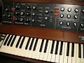 minimoog synthesizer short demo 3