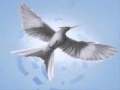 The Hanging Tree - Katniss in Mockingjay Hunger Games Trilogy - Version 2