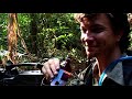 Regans jungle Woes 2 burmese deer Virus.mpg