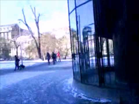 Watch 'A GIANT SPIDER ON THE LEASH?? 21st century PET!!!      - YouTube'