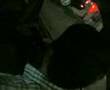 tanger catman miaw
