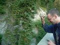 Me Throwing A Rock Off The Bridge Me Throwing A Rock Off The Bridge