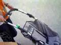 videos de gato al carro