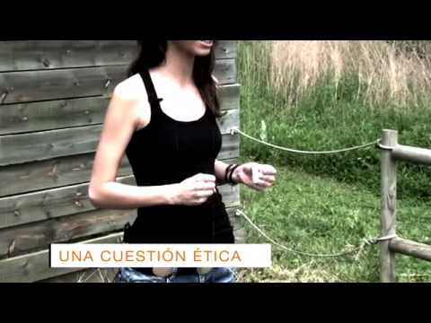 Imagen de previsualización de YouTube