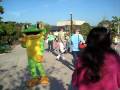 videos de Boy gets Chased By Frog at the Zoo