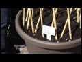Planting Pea Pots