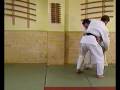 Cool Judo Throw.avi