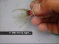 Goldfish �retim Tekni?i