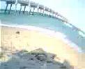 Seaweed Monster Part 6 (THE LAST PART READ DESCRIPTION)