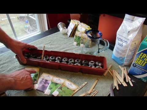 how to use purple basil