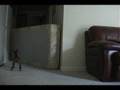 Min pin high jump