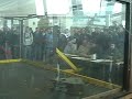 university-at-buffalo-2008-bot-wars-sae-vs-aiaa.html