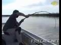 Huge Fish