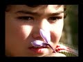 bravísima flor rojiazul: violeta!