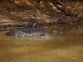 Un santuario ecol�gico llamado Cuyabeno