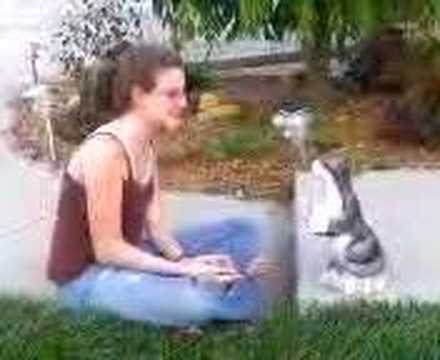 chelsea charms