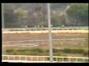 1990 (465) Pr. NEMESIO FERNANDEZ CUESTA (2.ª C.) (GRAN KUDU)