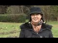 Looking at the UBC Farm Part II
