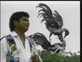 Los Diablitos - Los Caminos De La Vida
