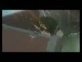 AMV: As One-Cowboy Bebop Movie