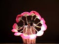 LIC chinese fan dance