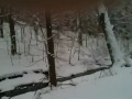 Simba's winter wonderland - http://www.youtube.com/watch?v=8erQ7KRMZx8