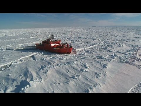 Выживание во льдах