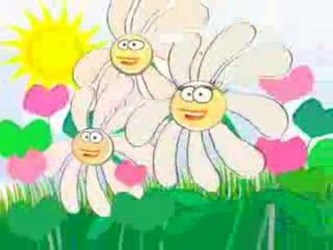 WIREDAISIES - Gay Boy