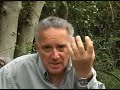 INTUITION Clearing Energy Blockages - Michael Bradford