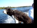Baxter and Bart Boat Ride