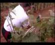 Travaux Agricole