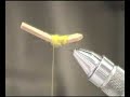 Tying the ClodHopper Grasshopper