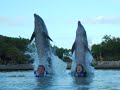 Jos� Jos� y familia tocados por delfines de Delphinus Xel-H�