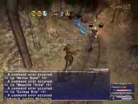 ENM60 - Summoner (Carbuncle Kiting)