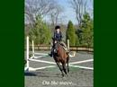 Hannah & Oscar at Cedarhill Farm