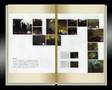 Shadow of the Colossus Artbook