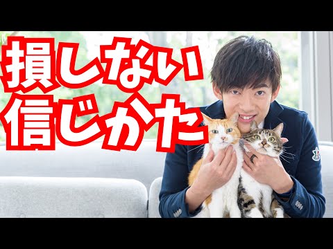 動画