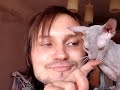 Sphynx Cat - Yusha climbing on me