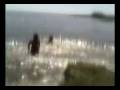 balandra fabri jose y joseph