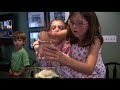 Perfect Pesto Recipe