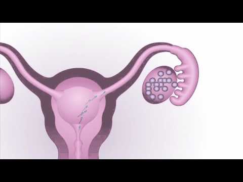 ginecologia dias no fertiles