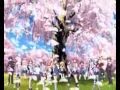 MAX HENTAI