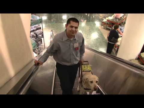 Overcoming the Odds (2011)